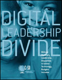 Digital Leadership Divide